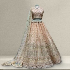 Cherry Blossom - New Partywear Lehenga Design