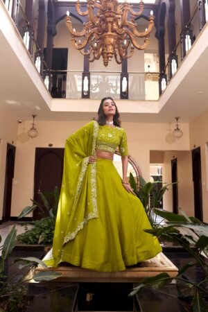 Doli - Embellishment with Pearl Coding and Sequins Embroidery Work Parrot Lehenga Choli