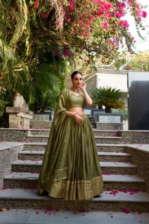 Doli - Plain With Weaving And Intricate Zari Work Border Mehndi Lehenga Choli