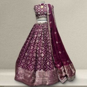 Lehza - The Party Wear Banarasi Lehenga Choli