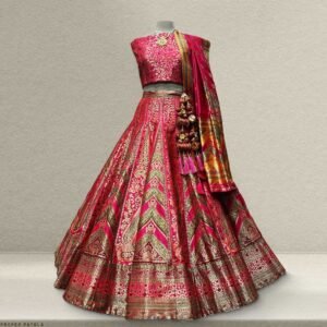 Unique Banarasi Weaving Lehenga by TSB
