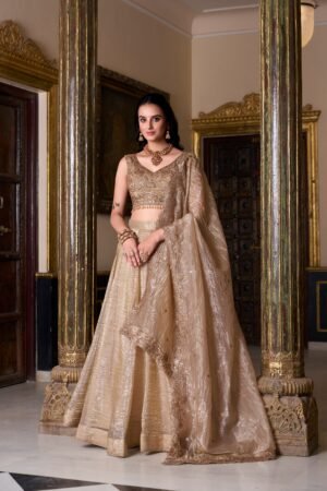 Doli - Gold Crush Sequins and Thread Embroidery Work Chiku Lehenga Choli