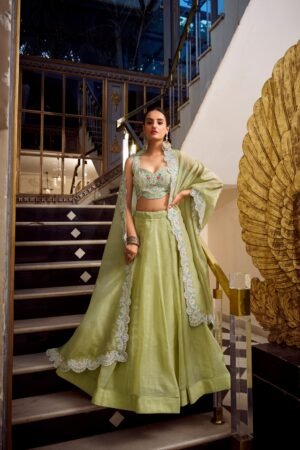 Doli - Sequins and Thread Embroidery with Jarkan Diamond Pista Lehenga Choli