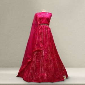 Aisha - Soft Net Sequins Work Monotone Partywear Sider Lehenga - Pink