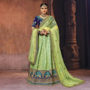 Shringaar: Luxurious Banarasi Silk Lehengas with Intricate Silk Work Blouse