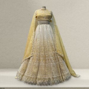 Jazzagals - Beads & Pearls Handwork Tissue Silk Ombre Reception Lehenga Gold