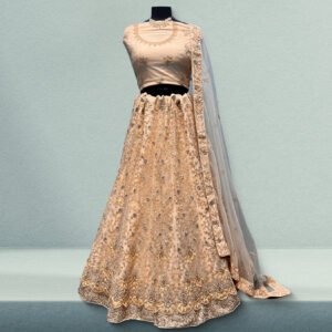 Aisha - Soft Net Sequins Work Zari Partywear Sider Lehenga