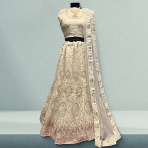 Aisha - Soft Net Sequins Work Zari Partywear Sider Lehenga
