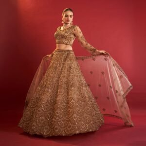 TSB Golden Handwork Lehenga for Reception for Bride