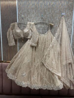 TSB party lehenga 182