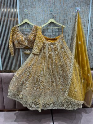 TSB Party Lehenga 23