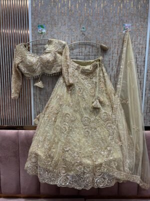 TSB Party Lehenga 255