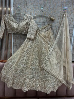 TSB Party Lehenga 30