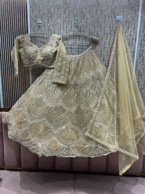 TSB Party Lehenga 31