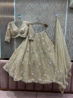TSB Party Lehenga 45